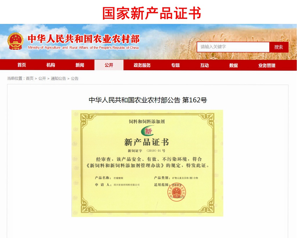 news20.jpg news20.jpg