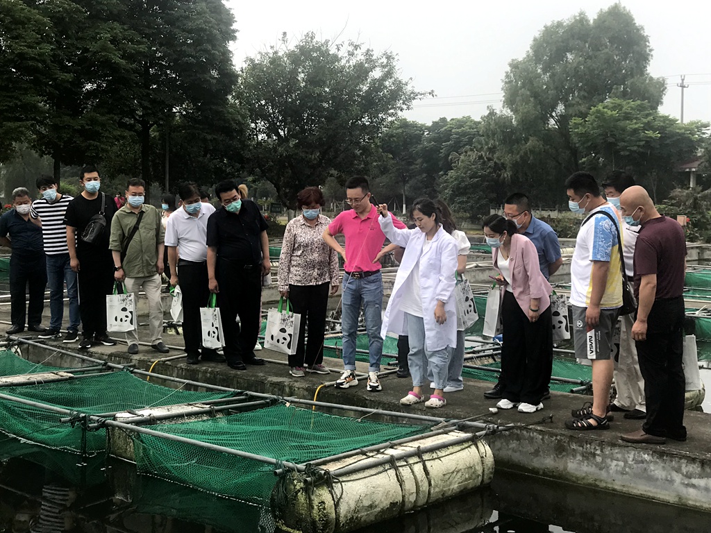 news04.jpg news04.jpg