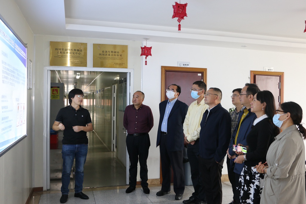 news05.jpg news05.jpg