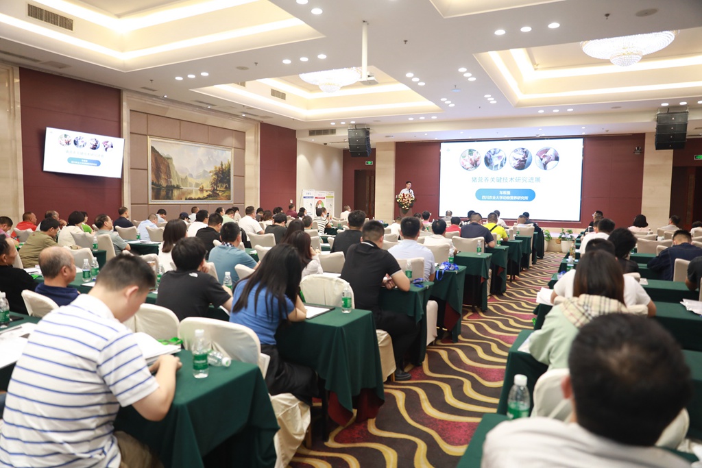 news18.jpg news18.jpg