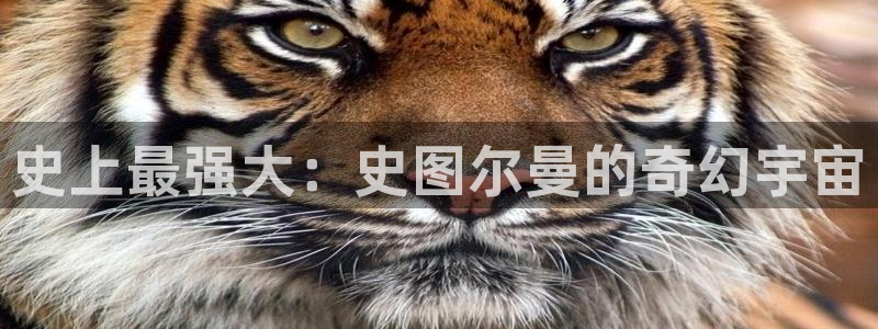汗汗漫画台
