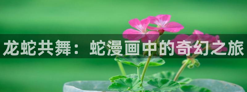 羞羞漫画汗汗漫画歪歪漫画sss