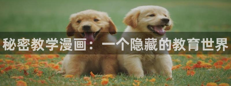 汗汗漫画在线阅读免费漫画阅读