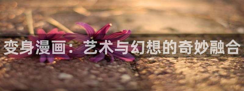 汗汗漫画海贼王
