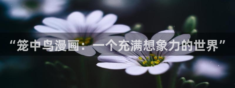 汗汗漫画之：“笼中鸟漫画：一个充满想象力的世界”