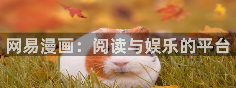 歪歪漫画羞羞漫画汗汗漫画：网易漫画：阅读与娱乐的平台