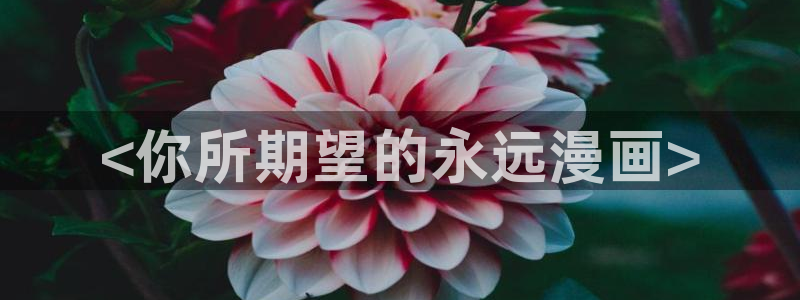 汗汗漫画大全