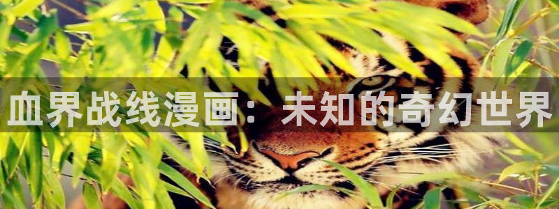 汗汗漫画免费漫画页面