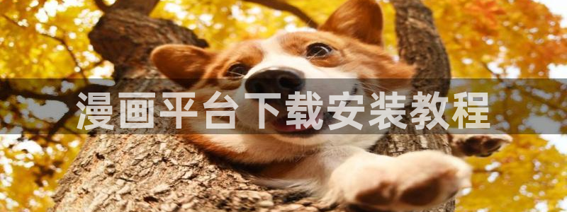 韩国汗汗漫画免费