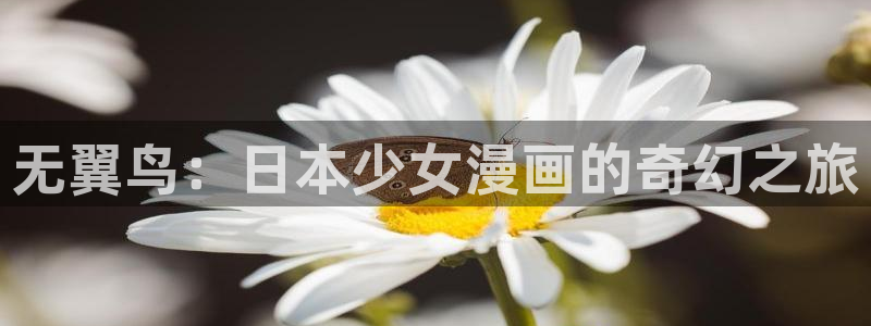 汗汗漫画日本的：无翼鸟：日本少女漫画的奇幻之旅