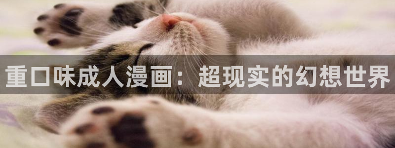 汗汗漫画网站在线观看